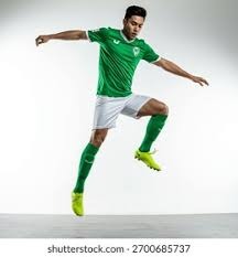 大谷翔平在 2024 年底受邀参加联合国的青少年健康运动论坛，倡导棒球生活